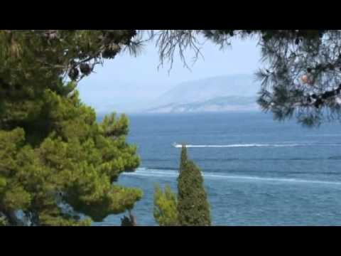 Видео: Эликсир любви. Ренар