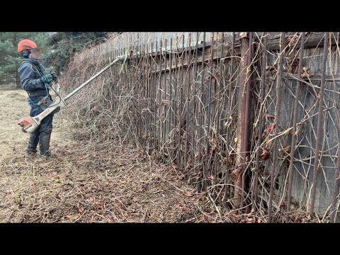 Видео: Осенняя расчистка участка от травы и кустов в Островцах