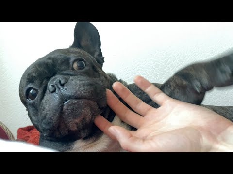 Видео: Если бы не подписчики, не нашёл бы...