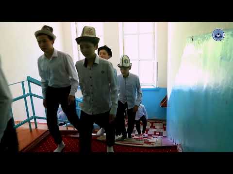 Видео: 24 июля 2023 г.