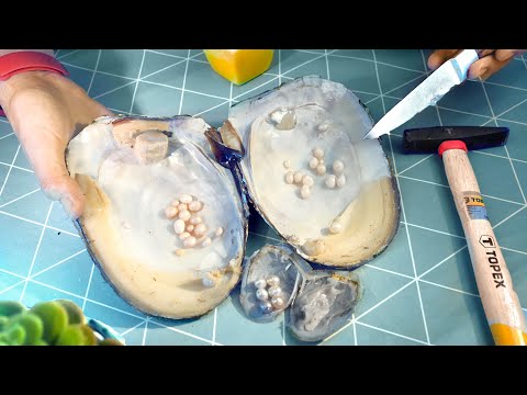 Видео: МЫ БОГАТЫ! НАШЛИ НАСТОЯЩИЕ ЖЕМЧУЖИНЫ В РАКУШКЕ С ALIEXPRESS!