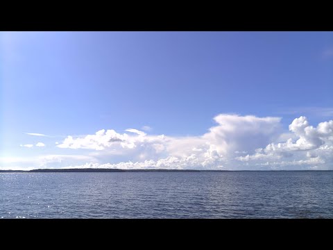 Видео: Выходные, прогулка, природа, Приморск 