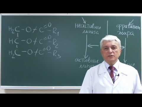 Видео: 12:00 Липиды 2