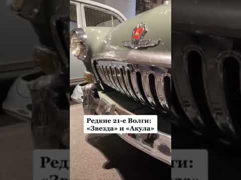 Видео: Волга. ГАЗ-21. Звезда. Акула. Китовый ус. #волга #газ21