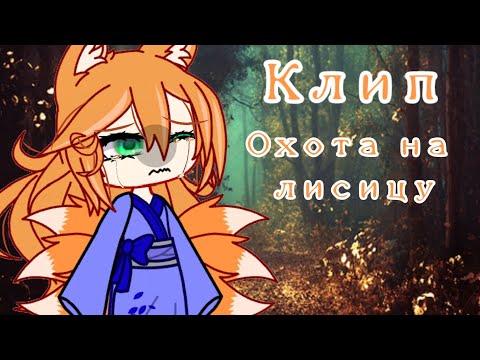 Видео: 🦊◇клип◇🦊◇охота на лисицу◇🦊