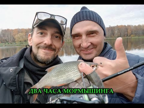 Видео: ДВА ЧАСА МОРМЫШИНГА