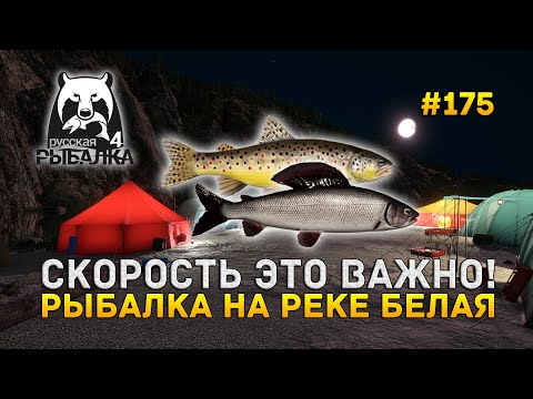 Видео: Скорость это Важно! Рыбалка на реке Белая - Русская Рыбалка 4 #175