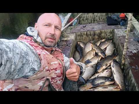 Видео: ТОННЫ САЗАНОВ В РУЧЬЕ! Нашел тонны сазана в НАНО реке. Рыбалка на паук с лодки. Рыбалка 2025