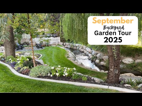 Видео: Сентябрьский тур по саду на заднем дворе 2025!