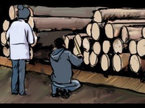 Видео: Рассчитываем экономику лесопилки исходя из сортности