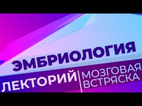 Видео: Эмбриология/Лекторий. Мозговая встряска