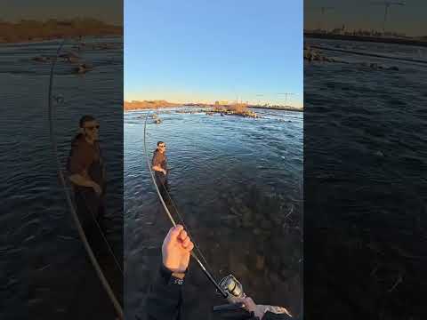 Видео: 10 ноября 2025 г.