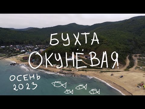 Видео: Бухта Окуневая. Приморский край.