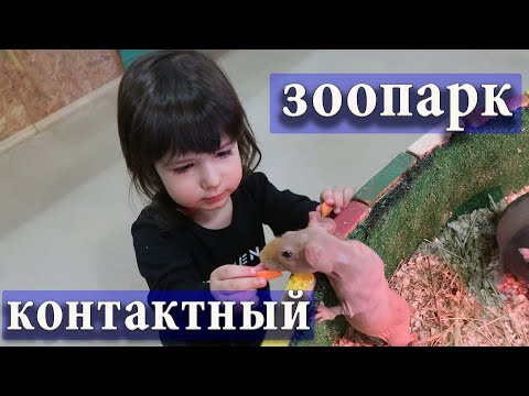 Видео: МАРК И МИЛА ЕДУТ В ЗООПАРК ЛЕСНОЕ ПОСОЛЬСТВО / ПЕРВАЯ ВСТРЕЧА МАЛЫША С ЖИВОТНЫМИ / РЕАКЦИЯ МАРКА