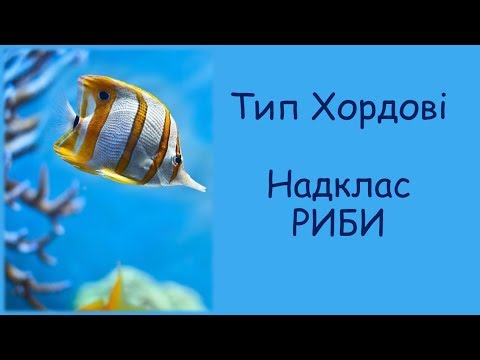 Видео: Риби: пристосування до мешкання у водоймах
