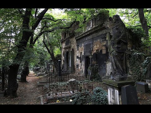 Видео: Самое старинное кладбище Волгограда, что там сейчас? экскурсия