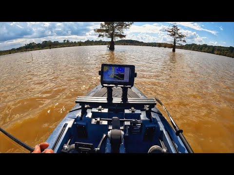 Видео: Первая рыбалка на водохранилище Толедо-Бенд
