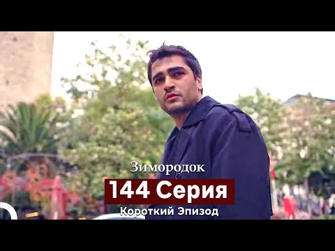 Видео: Зимородок 144 Cерия (Короткий Эпизод) (Русский дубляж)