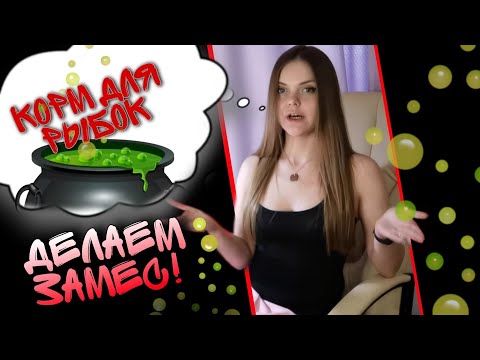 Видео: Замес корма для рыбок.