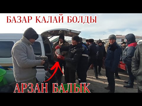 Видео: 18-ФЕВРАЛЬ/2024/ШЫМБАЙ ДИЙХАН БАЗАРЫ/КАЛАЙ БОЛДЫ/90.727.37.98
