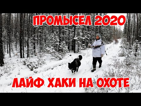 Видео: ЛАЙФХАКИ на промысле / Охота на белок / Промысел 2020