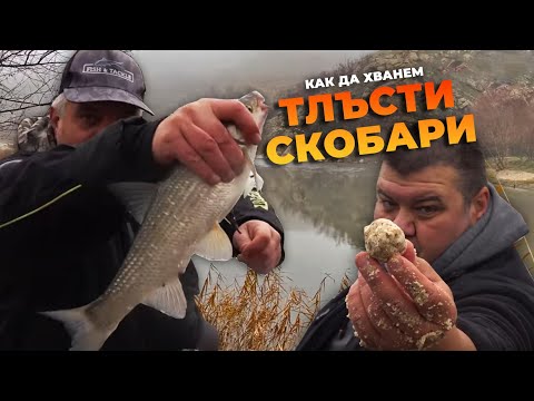 Видео: Как да хванем ТЛЪСТИ СКОБАРИ през зимата? / По р. Струма с болонеза