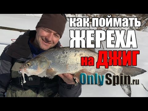 Видео: Зимний жерех  ловля на джиг  #OnlySpin