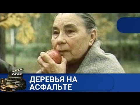 Видео: 🌎ОЧЕНЬ ГЛУБОКИЙ, СМЫСЛОВОЙ ФИЛЬМ🔥Деревья на асфальте 🔥KINODRAMA
