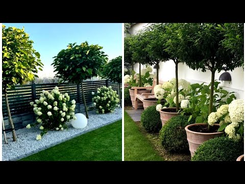 Видео: Преображение оазиса на открытом воздухе: искусство создания прекрасного ландшафта на заднем дворе...
