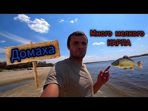 Видео: Запорожье Домаха!!! много мелкого карпа!!!