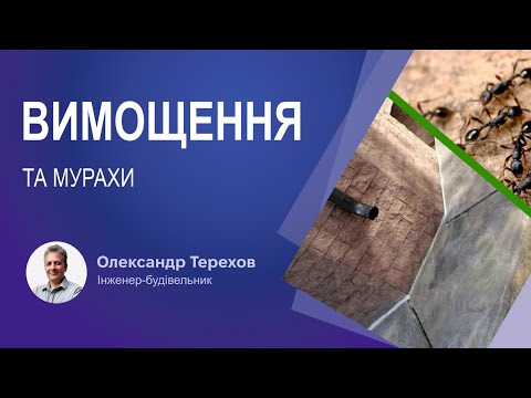 Видео: Вимощення та мурахи