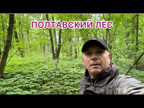 Видео: МЫ ГНАЛИСЬ ЗА НИМ А ОН К НАМ НА ВСТРЕЧУ‼️