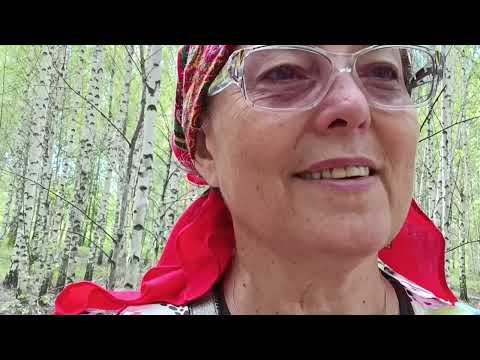 Видео: 1 июля 2024 г. Какие грузди!!!Приехали в город, записалась на УЗИ, купила лекарство.