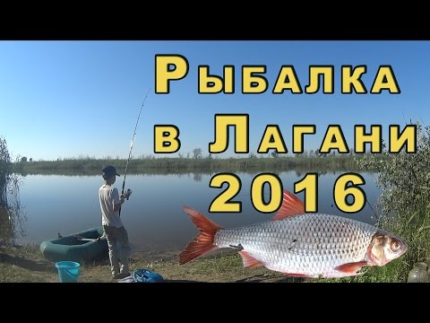 Видео: Рыбалка в Калмыкии. Лагань 2016