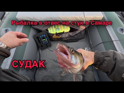 Видео: РЫБАЛКА В ОТВЕС НА СТУК В САМАРЕ. БЁРШ, СУДАК. ВОЛГА. НОЯБРЬ 2025