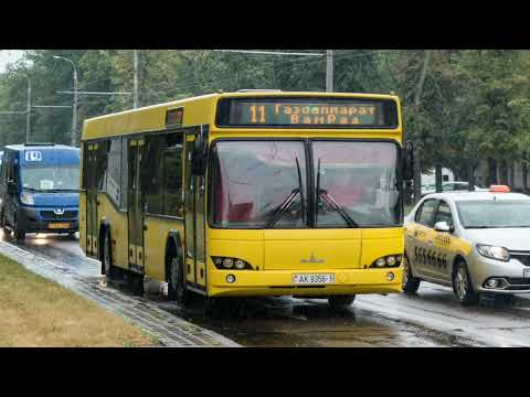 Видео: 🇧🇾Автобусы Бреста
