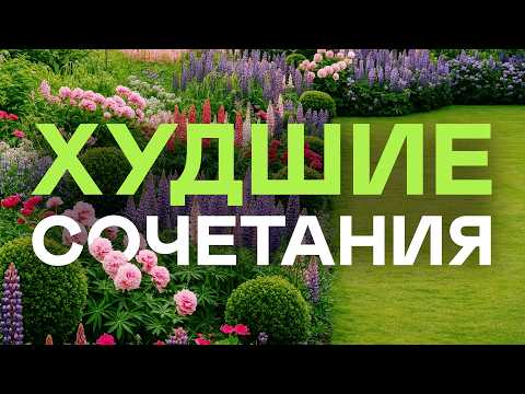 Видео: Так Никогда Не Делают Ландшафтники Если Хотят Дорогой Красивый Сад!