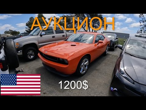 Видео: США! АУКЦИОН ЦЕЛЫХ И БИТЫХ МАШИН! ЦЕНЫ ОТ 250$! ИШУ АВТО НА ПЕРЕПРОДАЖУ!