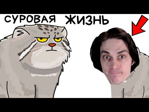 Видео: Ты - Манул (И ЭТО ВСЯ ТВОЯ ЖИЗНЬ) - Реакция