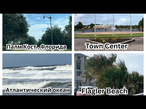 Видео: Olga Daily Life Наш день во Флориде | Palm Coast, океан и удивительная природа
