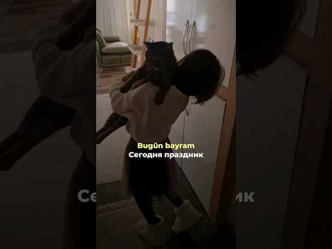 Видео: КАК ПЕСНЯ С ПРИЗЫВОМ ПОСЕТИТЬ КЛАДБИЩЕ СТАЛА ПРАЗДНИЧНЫМ ГИМНОМ #рамазан #турция #барышманчо