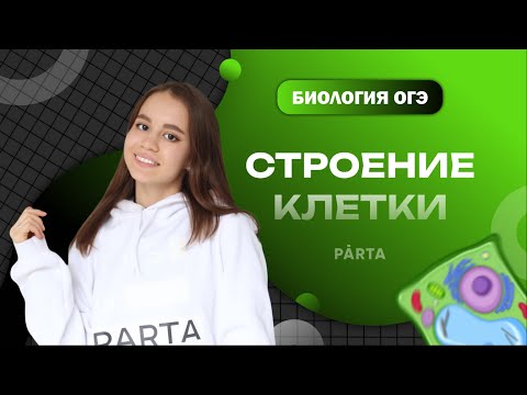 Видео: Строение клетки | Классификация всех органоидов для ОГЭ |БИОЛОГИЯ | PARTA ОГЭ 2023