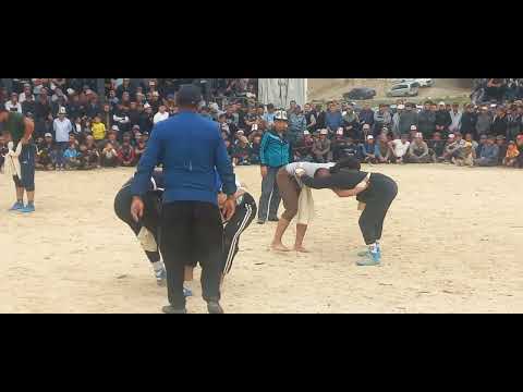 Видео: Лейлек күрөшү.Раззаков айылы.13.10.2024.