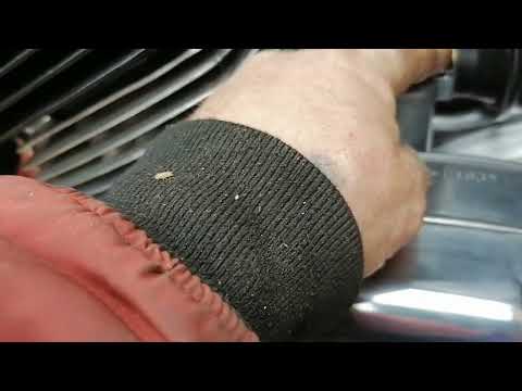 Видео: 2 ноября 2025 г.