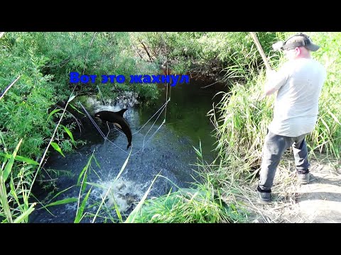 Видео: Захватил столько, что еле вытащил. Рыбалка на ПАУК ПОДЪЁМНИК.