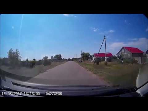 Видео: Кулешовка-Побединщина,Подгоренский район