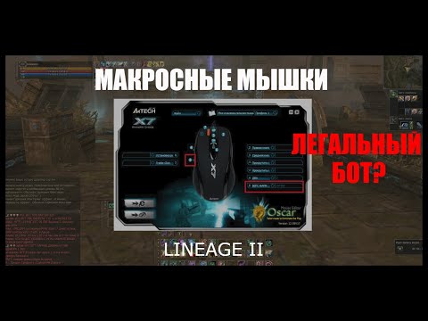 Видео: Макросная мышка | Легальный бот в Lineage 2? Разбираем легитимность и эффективность -  Homunculus