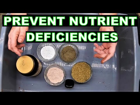 Видео: Червячная подстилка может устранить дефицит питательных веществ в вашем саду — Red Wigglers