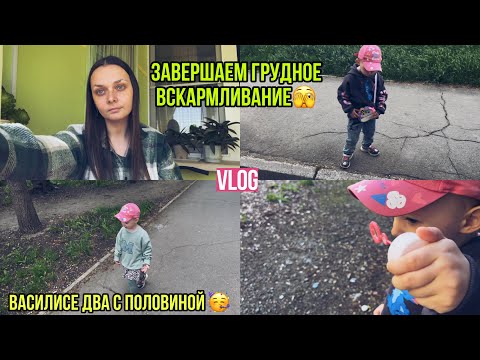 Видео: Как мы завершаем ГВ в два с половиной😐