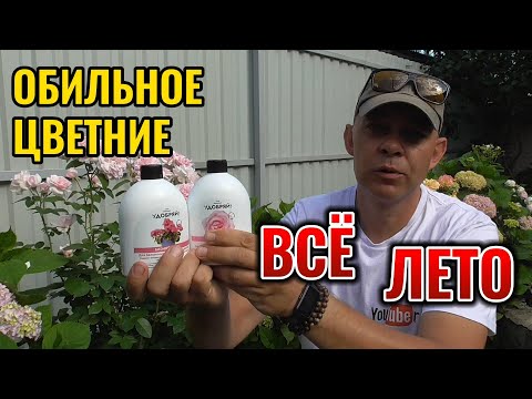 Видео: 🌸🌼🌺Цветут без остановки! Секреты летней подкормки: цветы в полном восторге от этой подкормки! 🌺